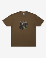 DESERT BROWN