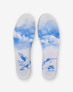 NIKE SB X NICOLE HAUSE DUNK LOW PRO - WHITE